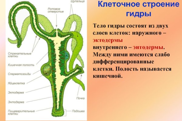 Мега ссылка сайт