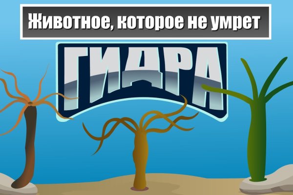 Мега ссылка для тора